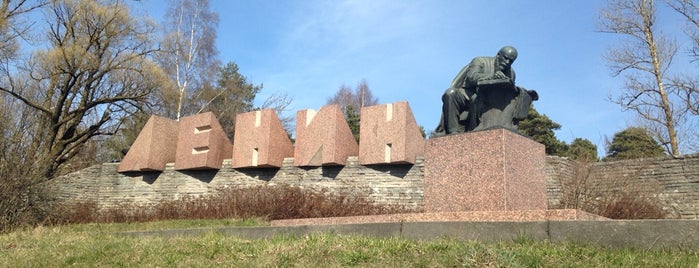 Памятник Ленину is one of Сестрорецк.