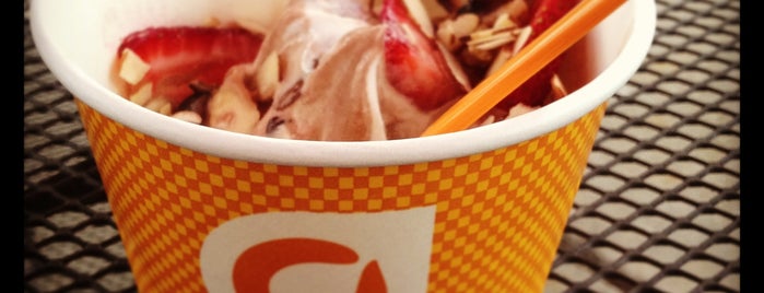Orange Leaf Frozen Yogurt is one of Frozen Treats for the belly.
