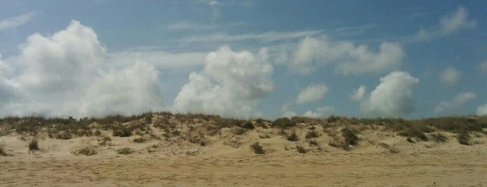 Playa de Sant Llorenç is one of Playas de la Comunidad Valenciana.