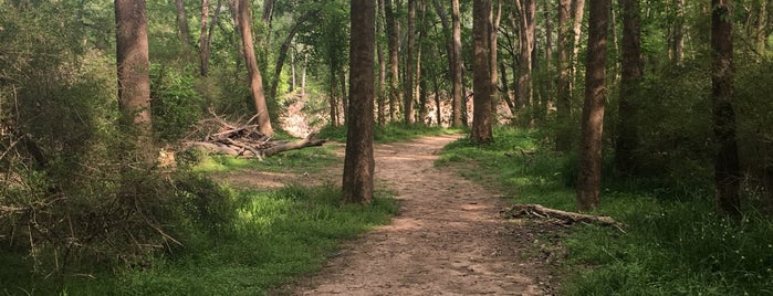 Arnette Park is one of Parks & Nature Preserves.