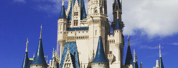 Walt Disney World Resort is one of Lugares para visitar.