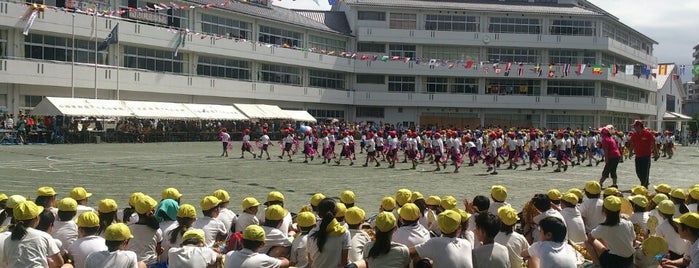 小田原市立三の丸小学校 is one of 小田原城.