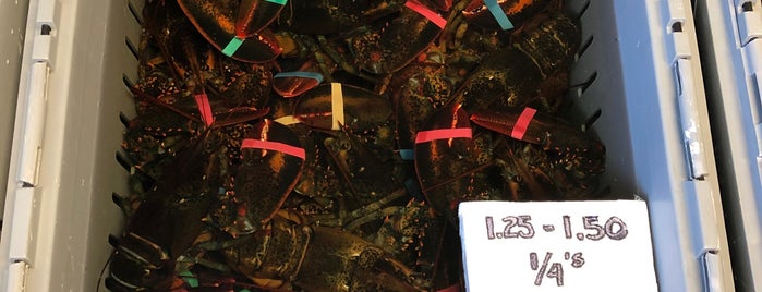 Twin Lobsters is one of Manasota Key.