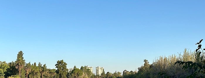 Parque General San Martín is one of Mendoza.