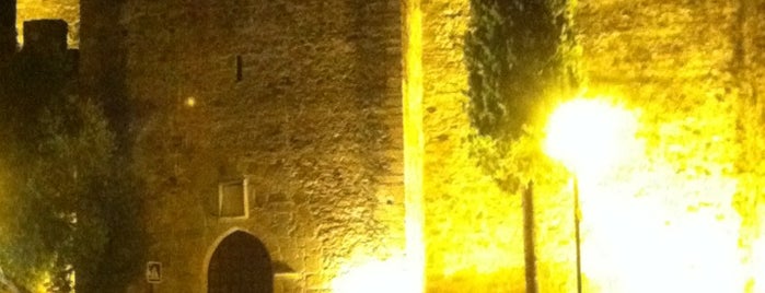 Alter do Chão is one of Cities in Portugal and Galicia.