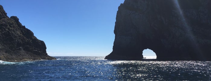 Hole In The Rock (Bay of Islands) is one of NZ2.