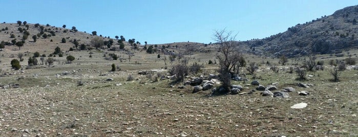 Dağ Tepe Bayır is one of Orte, die Yunus gefallen.