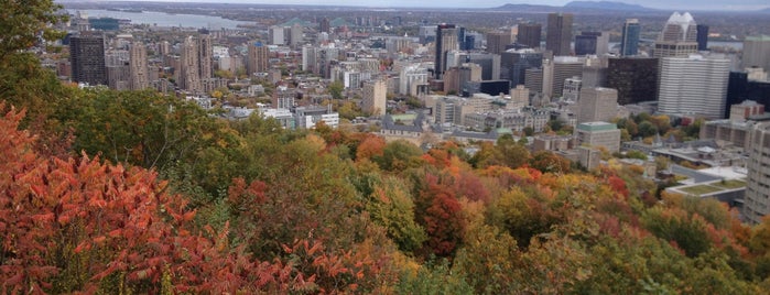 Parc du Mont-Royal is one of Montreal.