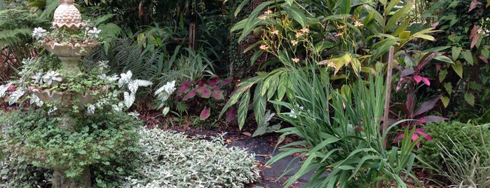 Nature Coast Botanical Gardens is one of Lugares favoritos de Lizzie.