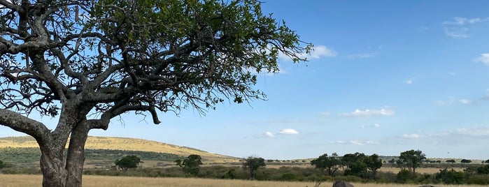 Maasai Mara National Reserve is one of Tempat yang Disukai Aaron.