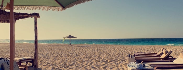 Seashell Playa is one of North coast الساحل الشمالي🇪🇬.