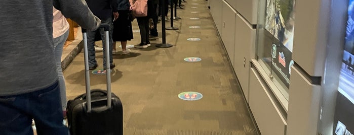 TSA Pre✔️ is one of Lizzie : понравившиеся места.