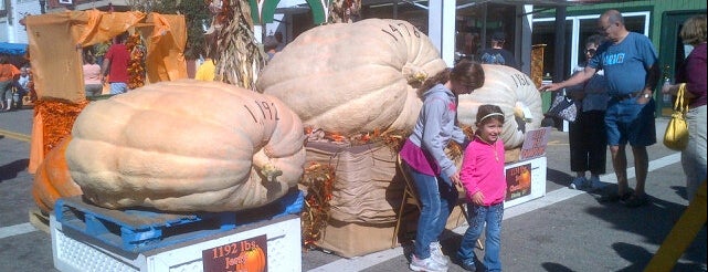 Barnesville Pumpkin Festival is one of OH Places.
