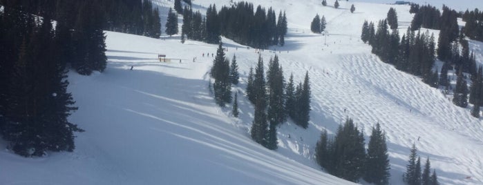 SBF Mountain Top Express--Lift 4 is one of Vail #4.