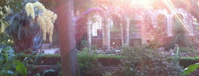 Jardin des Plantes is one of visita a Montpellier.