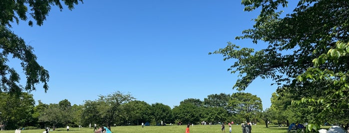 長坂谷公園 is one of ぱぶりっく.