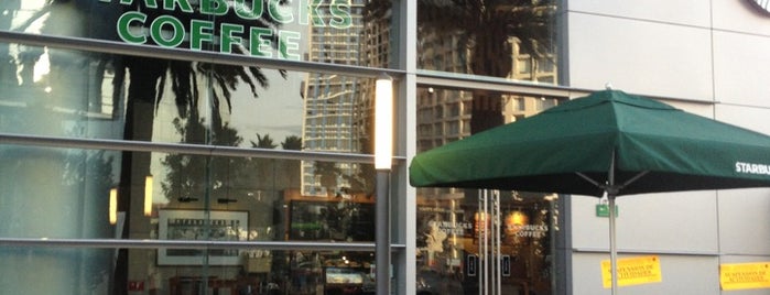 Starbucks is one of Tempat yang Disukai Everardo.
