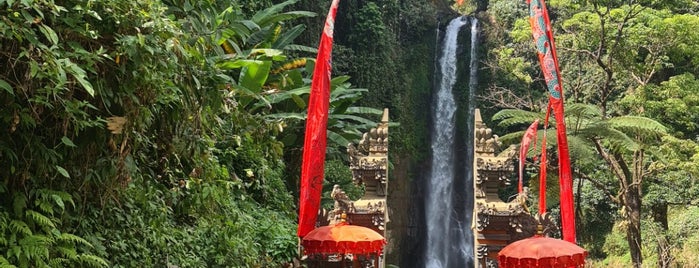 Gitgit Waterfall is one of Bali life.