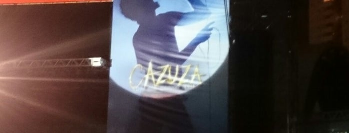 Cazuza - O Musical is one of Cinemas e Teatros.