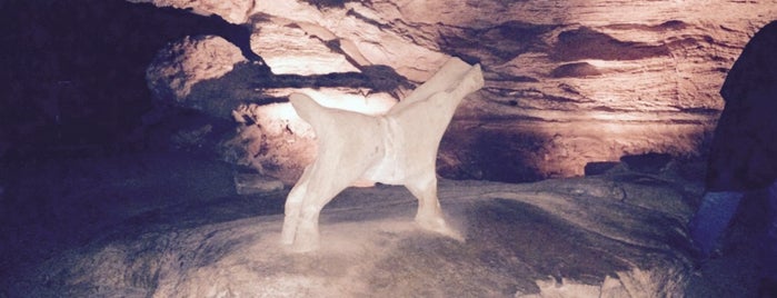 Longhorn Cavern Scenic Overlook is one of Lugares favoritos de Maggie C.