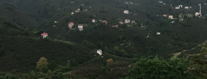 Kayabaşı is one of Orte, die KRM gefallen.