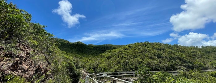 Hong Kong Trail (Section 6) is one of Hiking HKG.