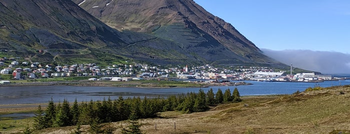 Siglufjörðarflugvöllur (SIJ) is one of GO3.
