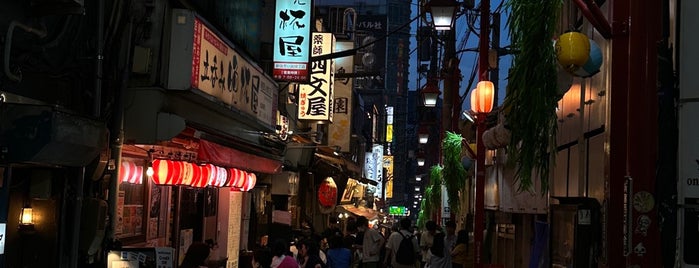 Omoide Yokocho is one of Japan Places To Go.