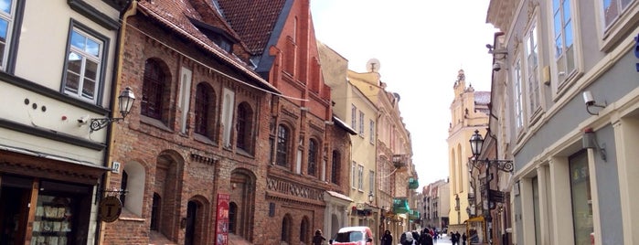 Castle Street is one of Vilnius, Lithuania 2014.