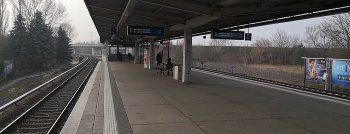 S Poelchaustraße is one of Berliner S-Bahn.