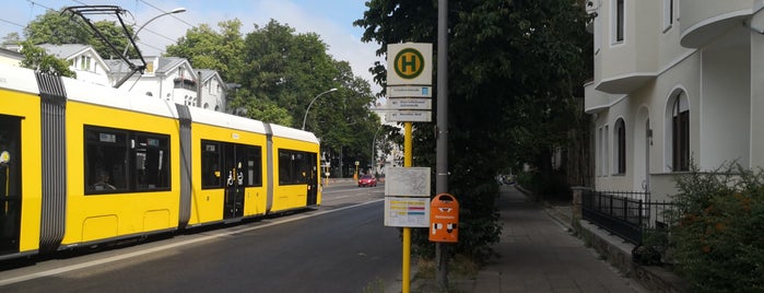 H Tschaikowskistraße is one of Berlin MetroTram line M1.