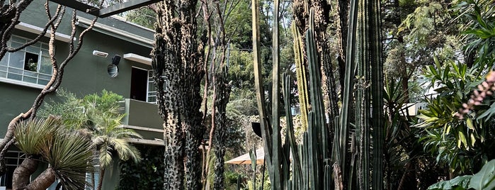 Botánico is one of CDMX.