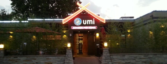 Umi is one of Lugares favoritos de Hailey.