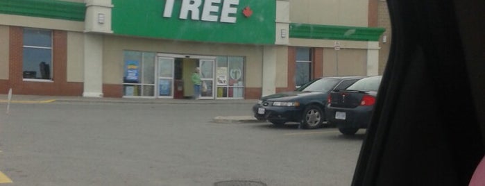 Dollar Tree is one of St. Thomas.