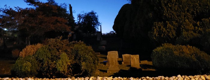 Maplewood Cemetery is one of Virginia - Spring 2014.