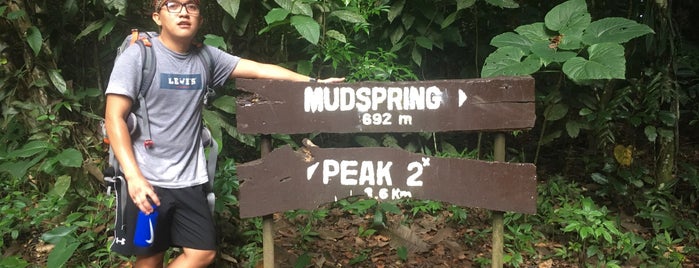 Mudspring is one of Laguna Adventure.