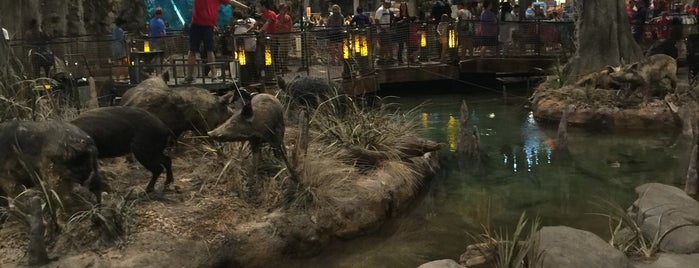 Bass Pro Shops is one of Lauraさんのお気に入りスポット.