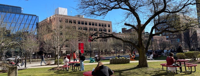 Boston University College of Communication (BU COM) is one of The DFP's Top Campus Spots.