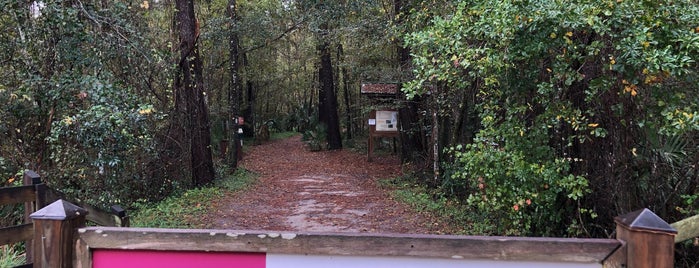 Loblolly Woods Nature Park is one of Gville.