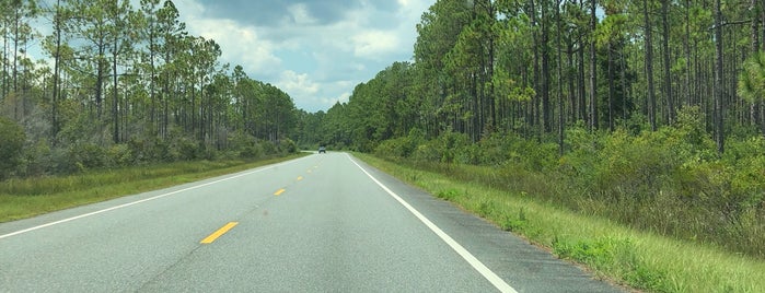 Apalachicola National Forest is one of US National Forests & Grasslands.