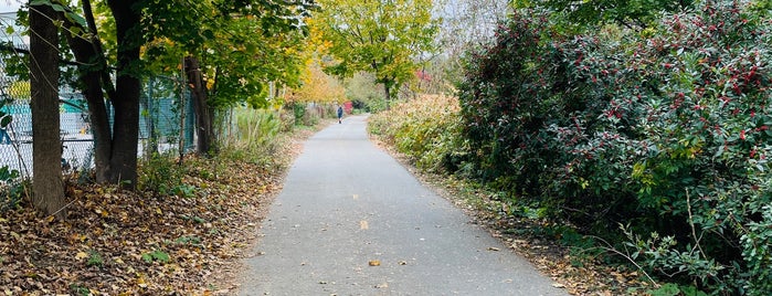 Alewife Brook Reservation is one of Outdoors.