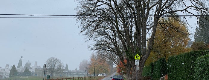 Shaughnessy is one of สถานที่ที่ Fabio ถูกใจ.