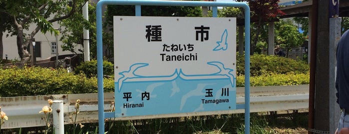 Taneichi Station is one of 図書館ウォーカー.