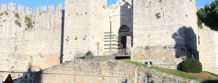 Castello Dell'Imperatore is one of Prato.