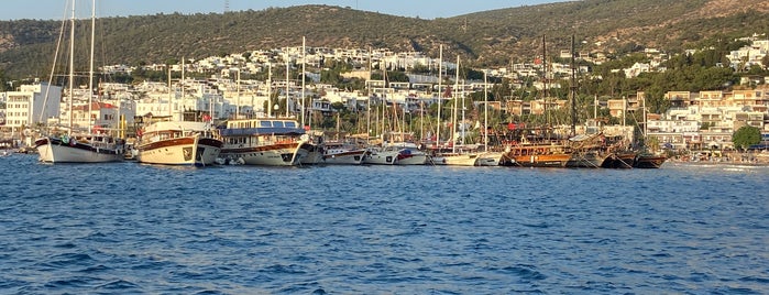 Halikarnas İskele is one of Plaj.
