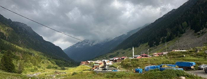 Elevit Yaylası is one of Trabzon Rize.