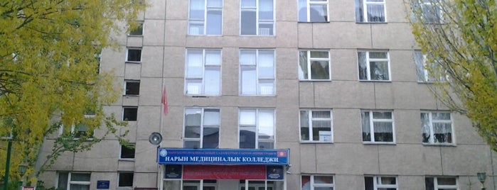 Нарынский Медицинский колледж / Naryn Medical college is one of Naryn Town, Kyrgyzstan / Город Нарын, Кыргызстан.