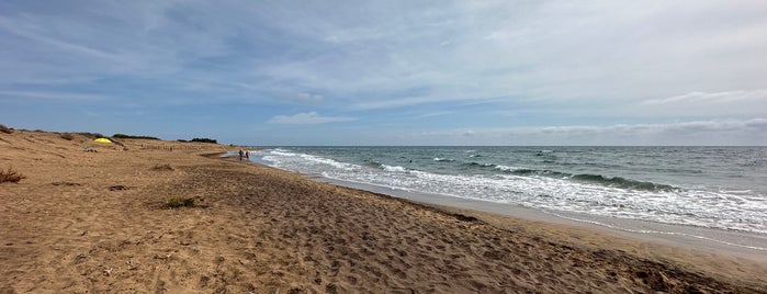 Playa de Calblanque is one of Todos los idos.