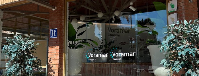 Voramar Aparthotel is one of De vacaciones.
