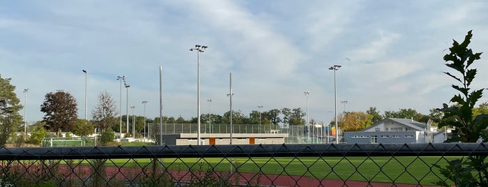 Dietmar-Hopp-Sportpark is one of Regionalliga Südwest 2017/18.